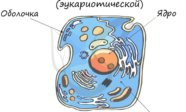 Photo of Изучение строений: путь к знаниям
