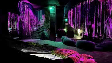 Photo of «Музеи и временные парадоксы»